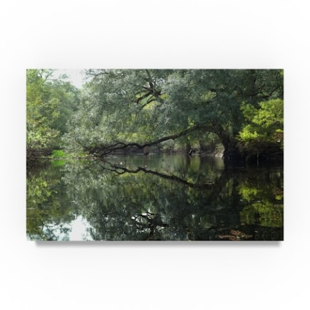 Robert Michaud 'Reflections' Canvas Art,22x32